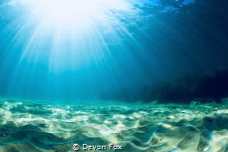 Sun rays/ The beautiful, vast sandy bottom. by Devon Fox 